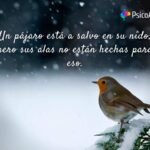 pensamientos positivos para el día