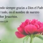 plegaria de agradecimiento por las bendiciones