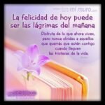 reflexiones espirituales para hoy