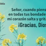 Reflexiones para reconocer y agradecer las bendiciones diarias