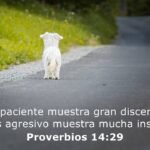 Versículos bíblicos para la paciencia y perseverancia